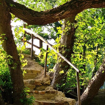 Kuca Za Odmor Ceif Villa Dropci Buitenkant foto
