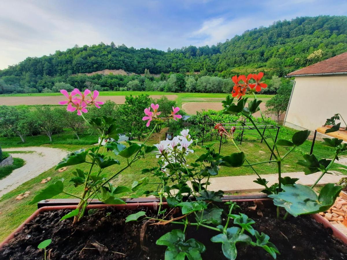 Kuca Za Odmor Ceif Villa Dropci Buitenkant foto