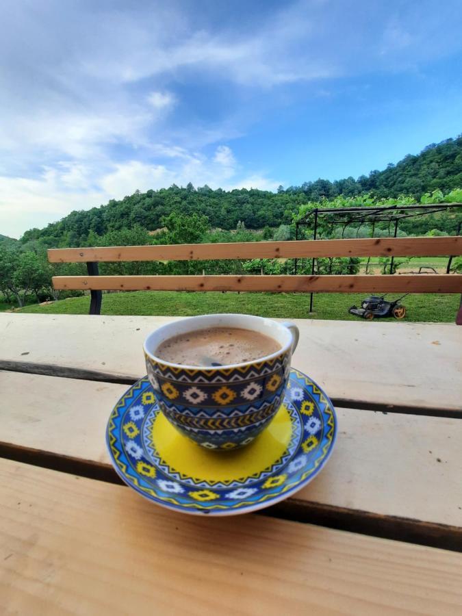 Kuca Za Odmor Ceif Villa Dropci Buitenkant foto