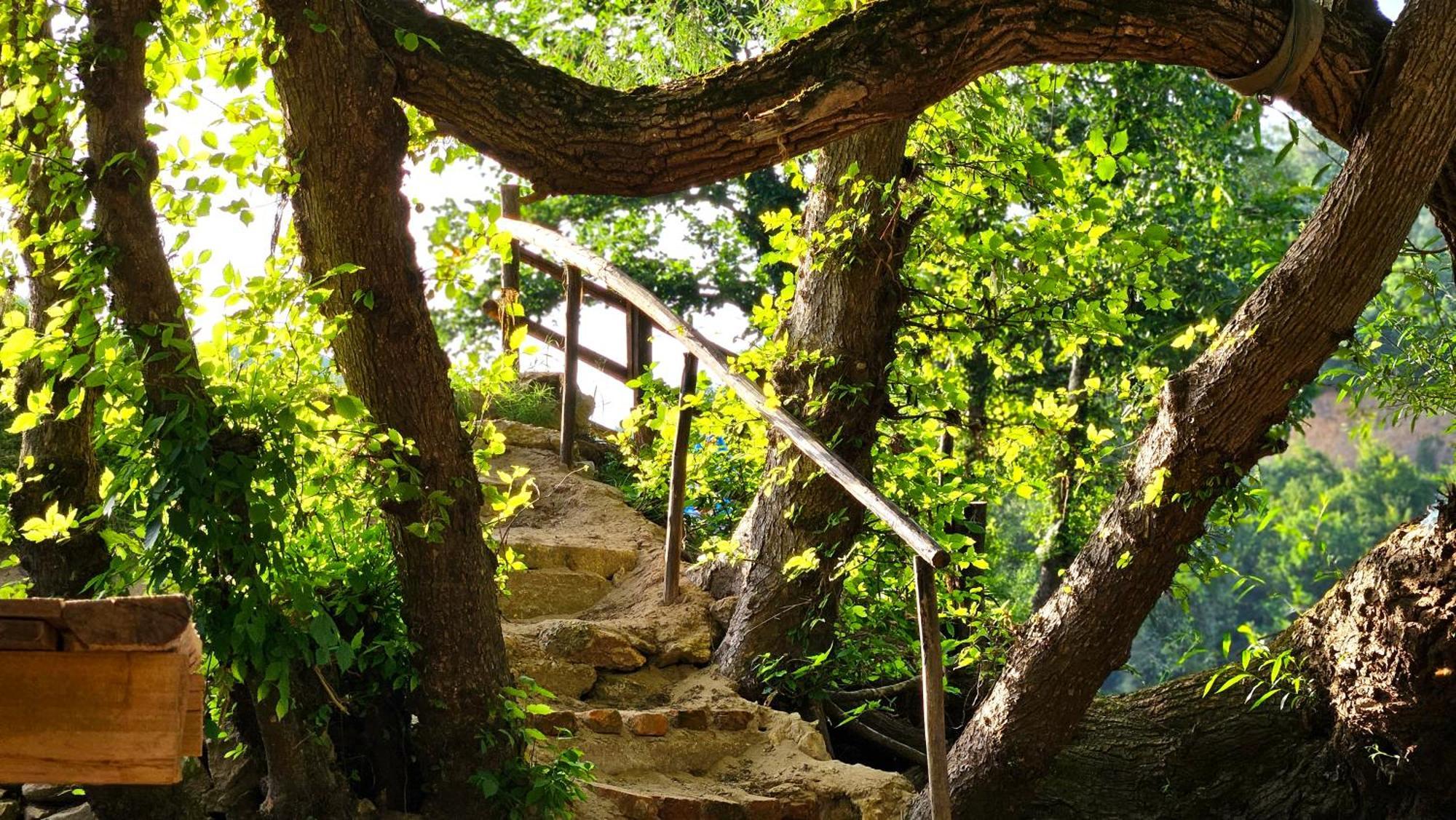 Kuca Za Odmor Ceif Villa Dropci Buitenkant foto